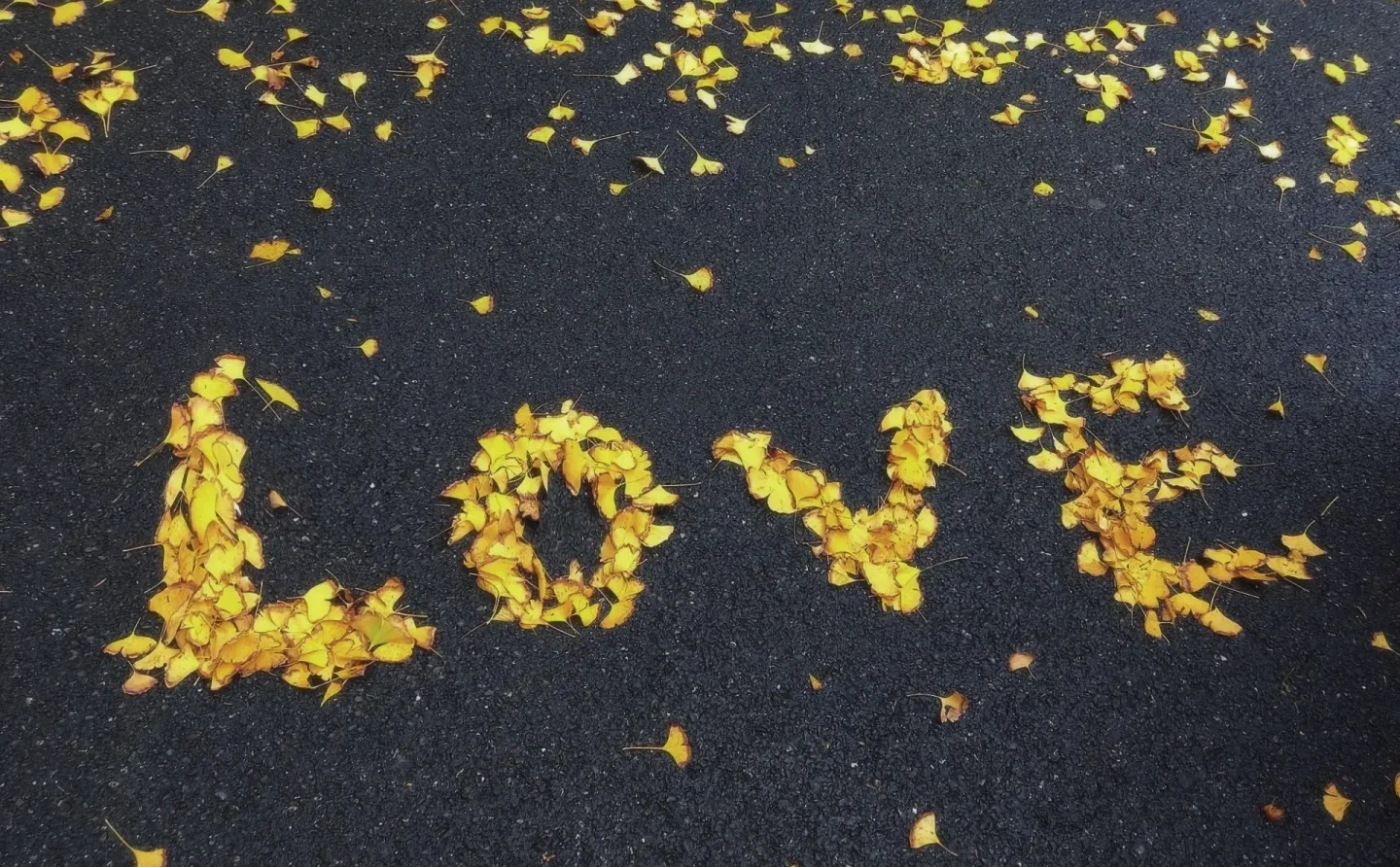 𝐰𝐞𝐜𝐡𝐚𝐭｜浓秋小眾背景图