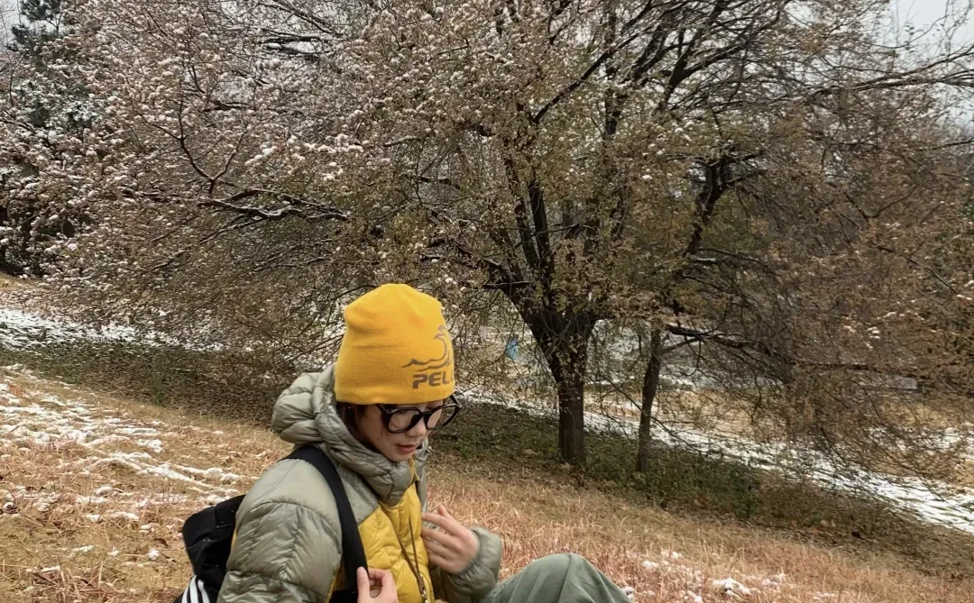 📍青岛初雪，海边的冰雪森林❄️🌲