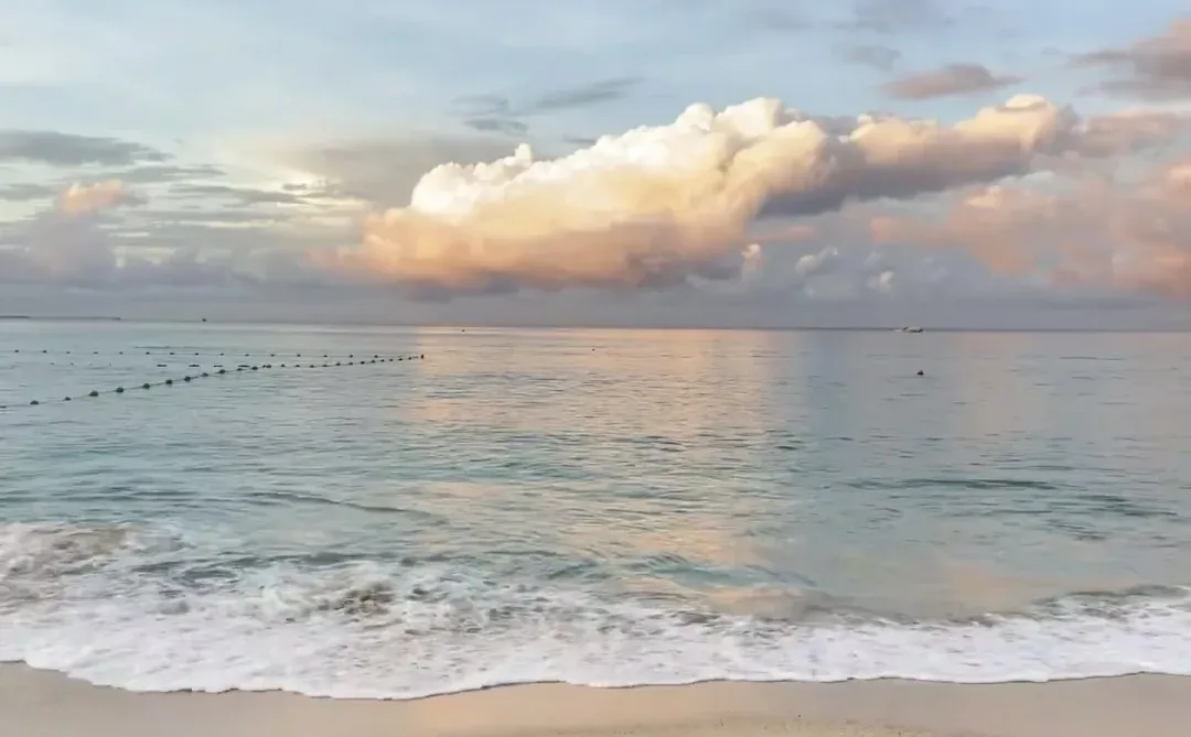 三亚度假暴击！这件泳衣👙让我被追着问链接