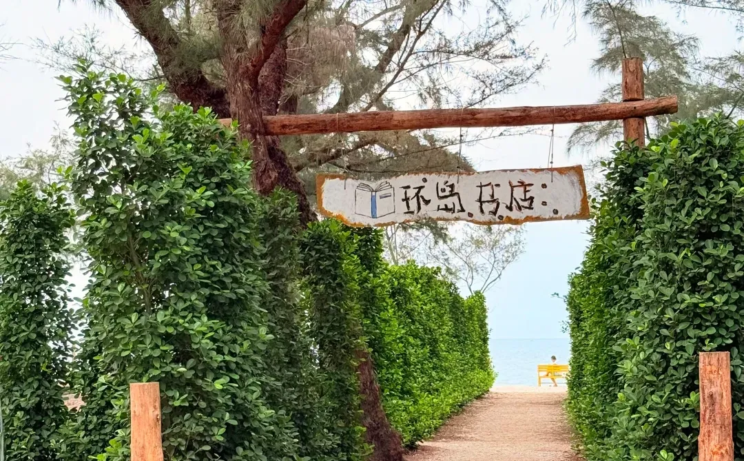 iPhone16pro调色🎨日落的氛围感