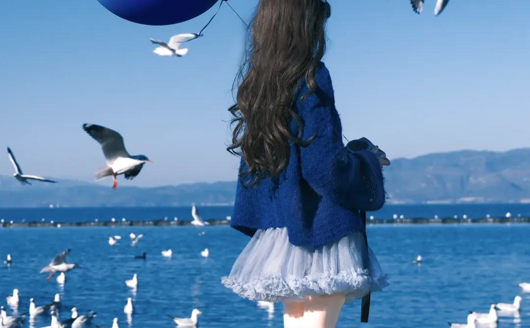 冬日蓝调时刻胶片🎞️海边海鸥氛围感随拍