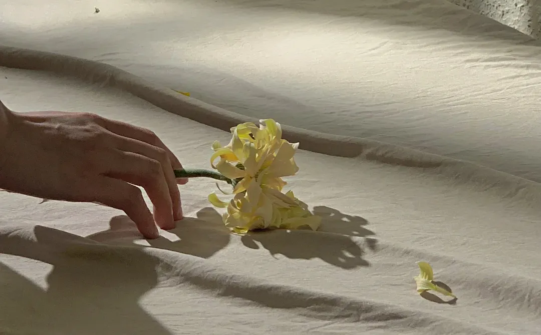 细碎光影透过指尖| 手机Live