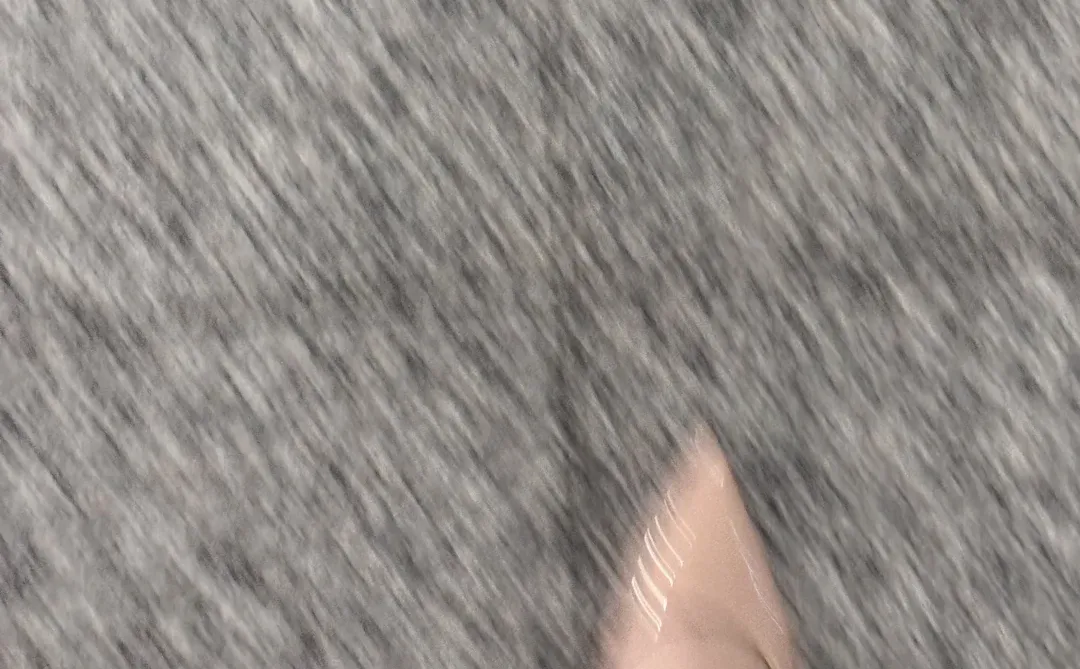 焊在脚上的尖头平底鞋➕肉丝！