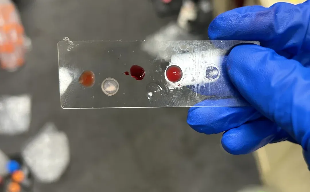 CityU理工科港硕复盘