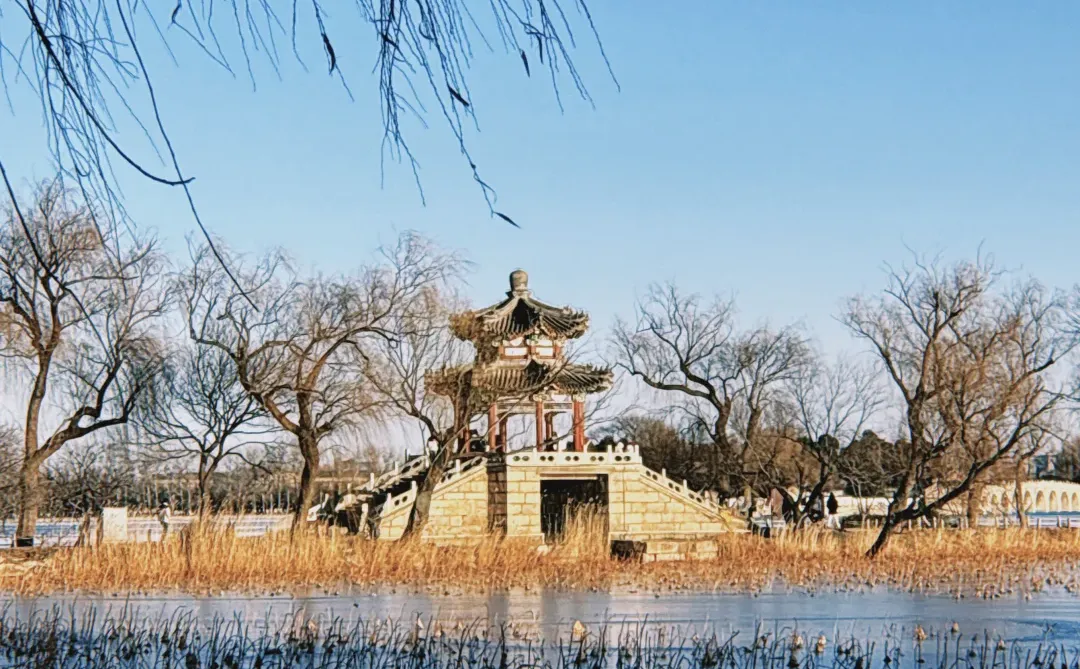 你好鱼老师 我又来刷你屏了