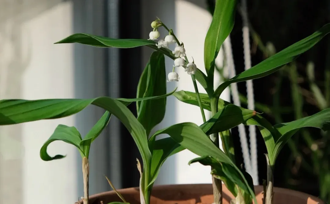 32岁，比起漂亮我更想要肆意的生活状态