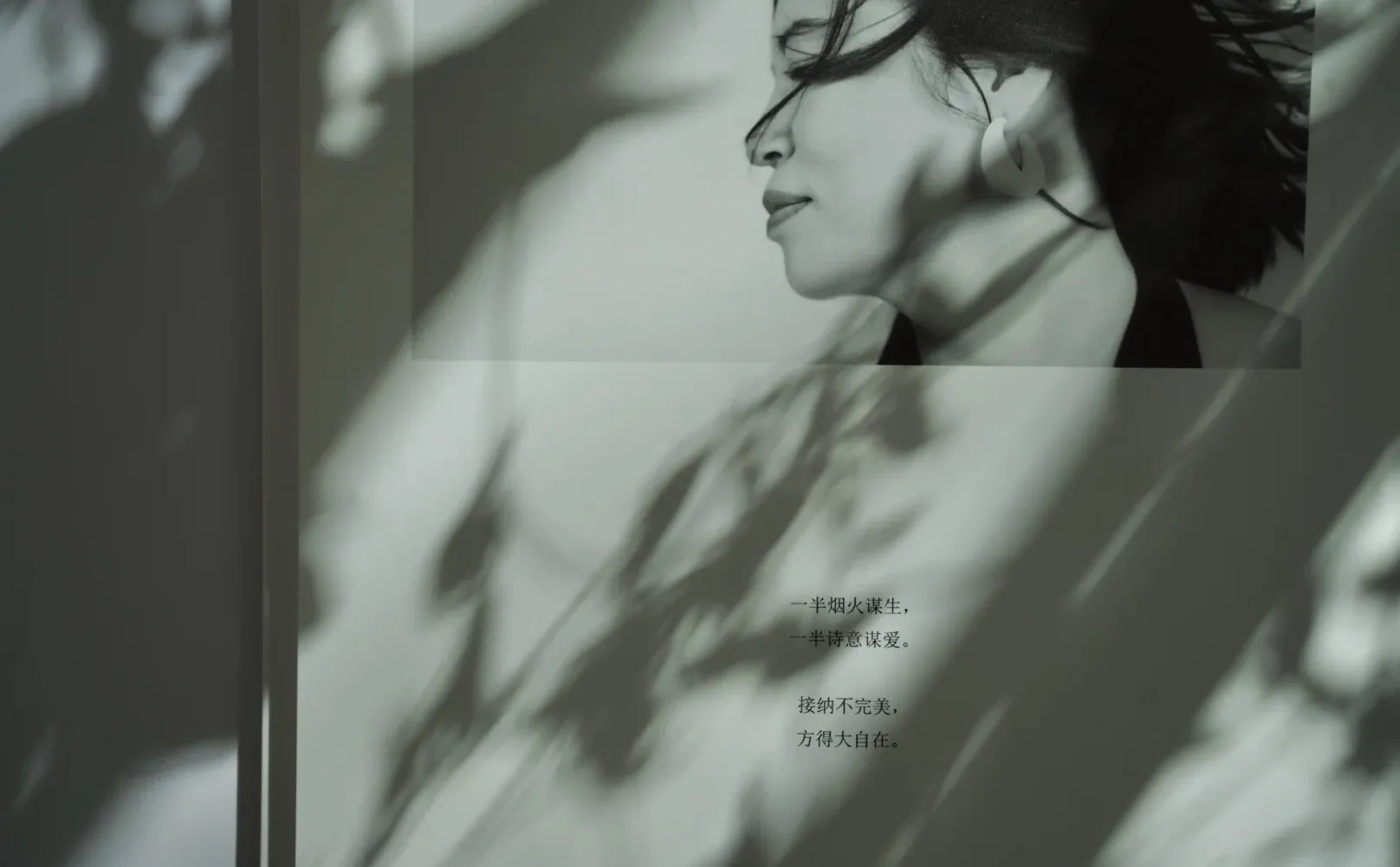 我的第13本照片书