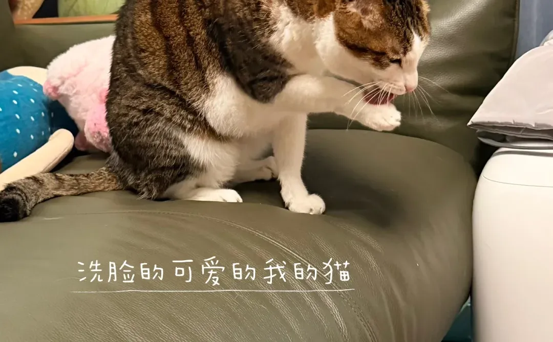 2025.12.21 皮下补液第十次