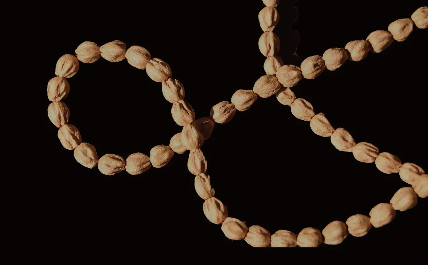 热振郁金香桩｜主打一个原生态的惊艳～