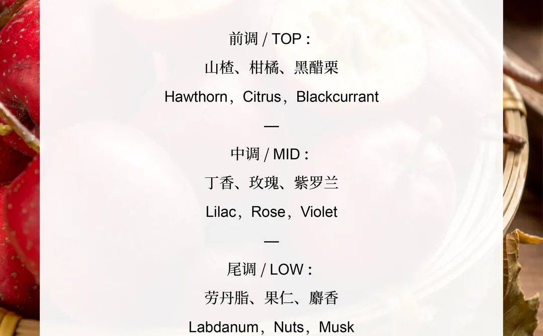 中国山楂｜充满诗意的秋日午后