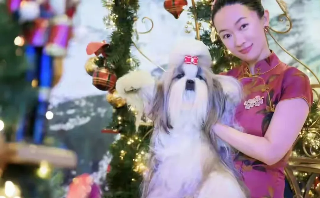 杜江激动发文庆祝老婆夺冠