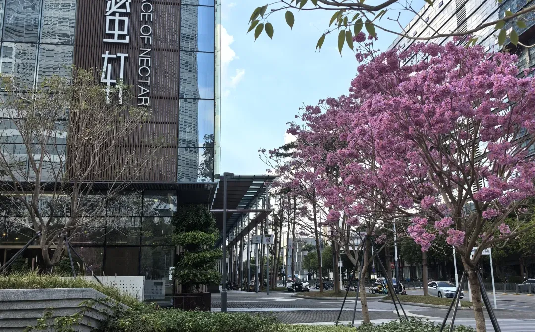 周末愉快，冬至安康