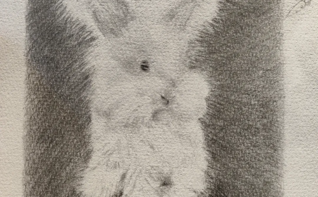 主人，带我回家咯~～