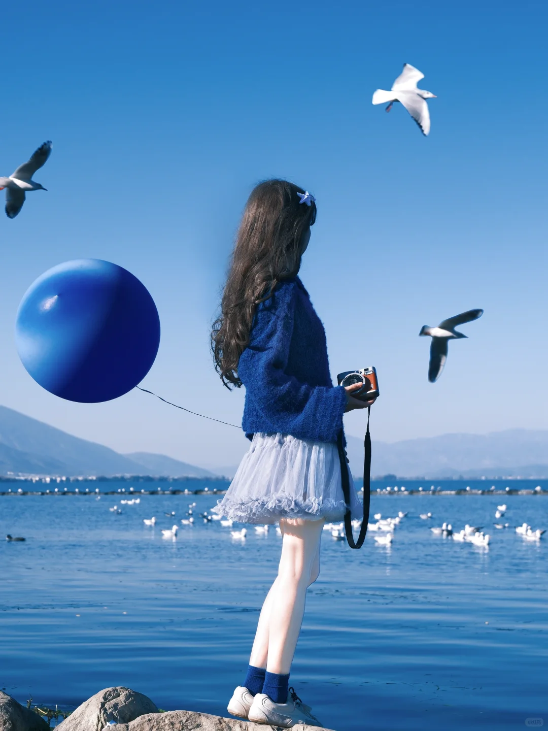 冬日蓝调时刻胶片🎞️海边海鸥氛围感随拍