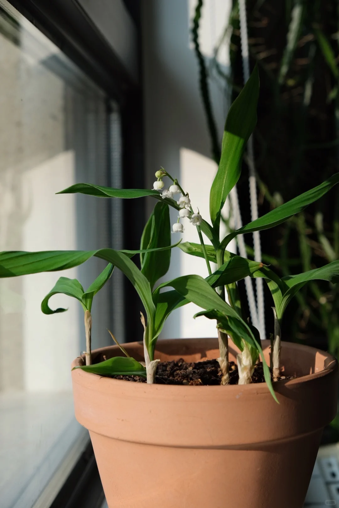 32岁，比起漂亮我更想要肆意的生活状态