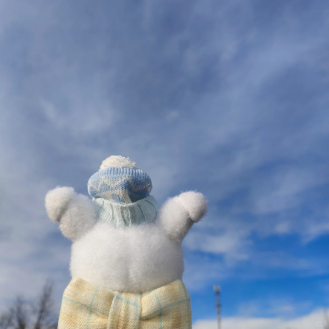 雪人皮·写真集