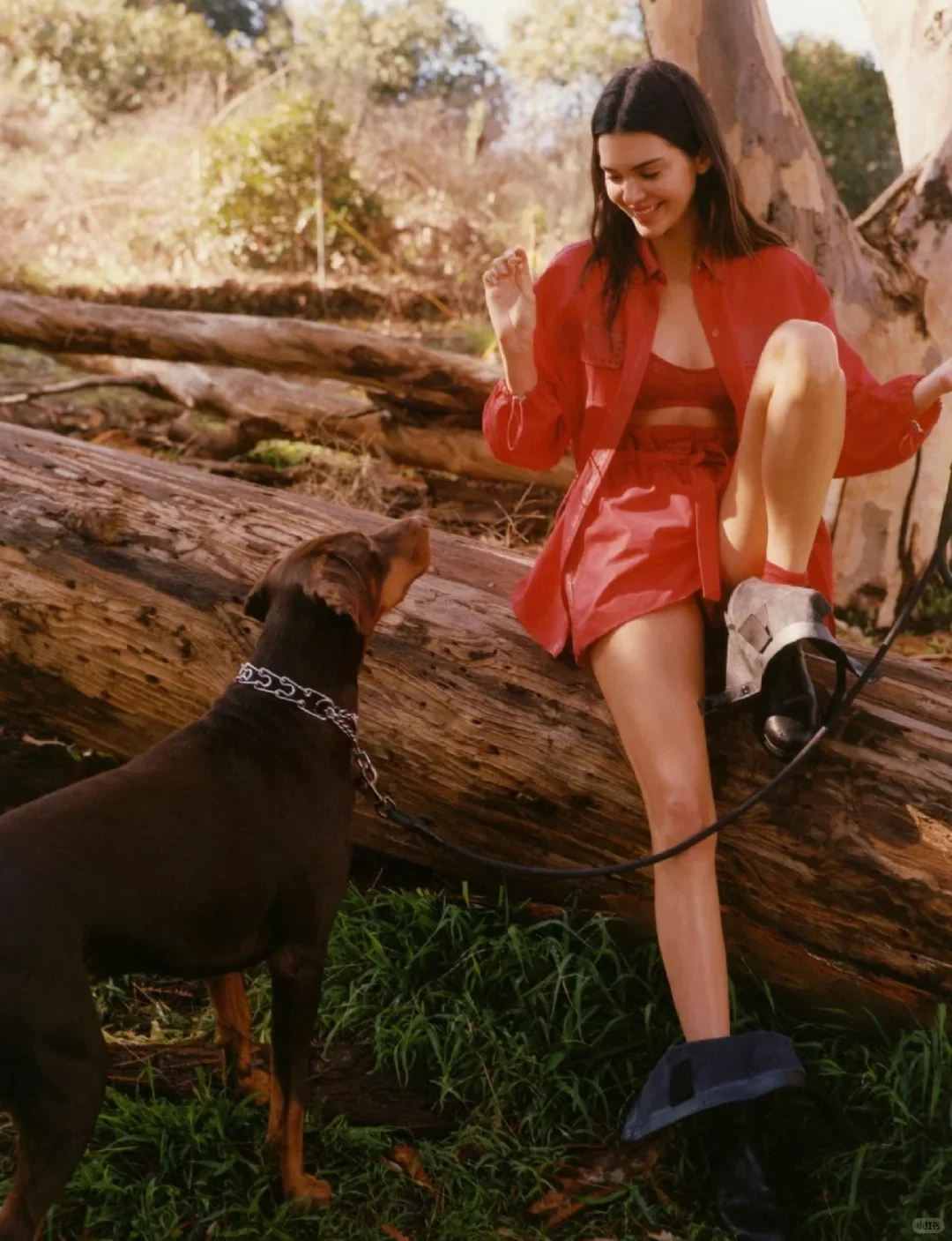 肯豆啊，漂亮有钱的小姨，自由，美好，热烈