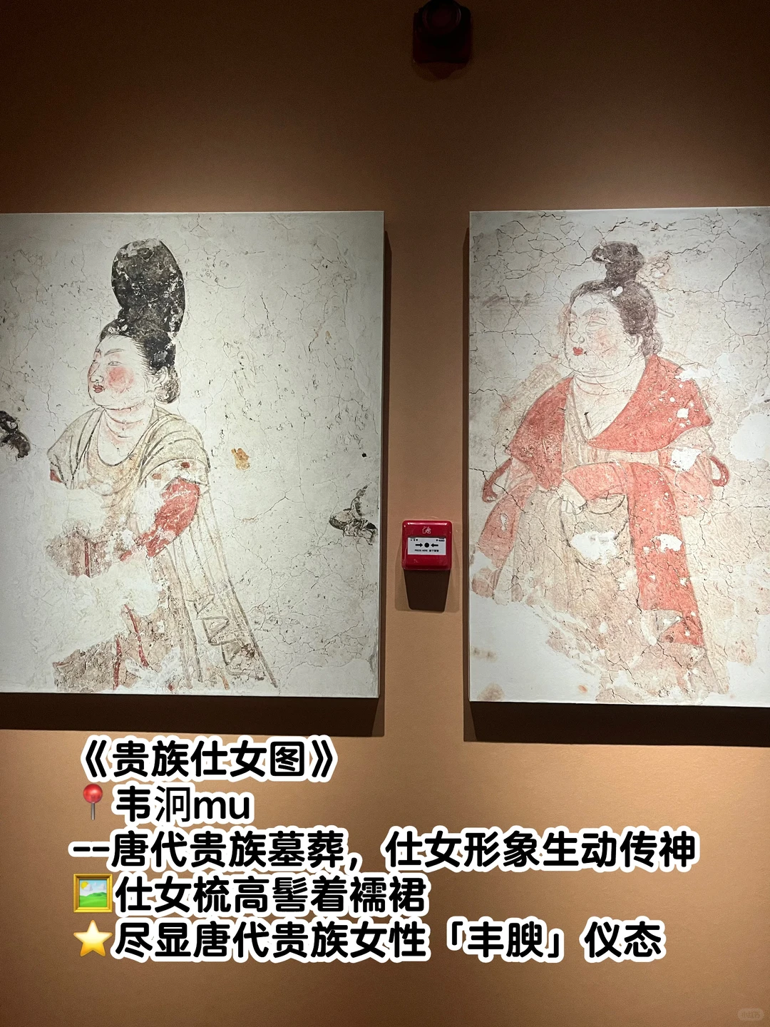 唐代壁画|云看展攻略：必看国宝放大看真绝了
