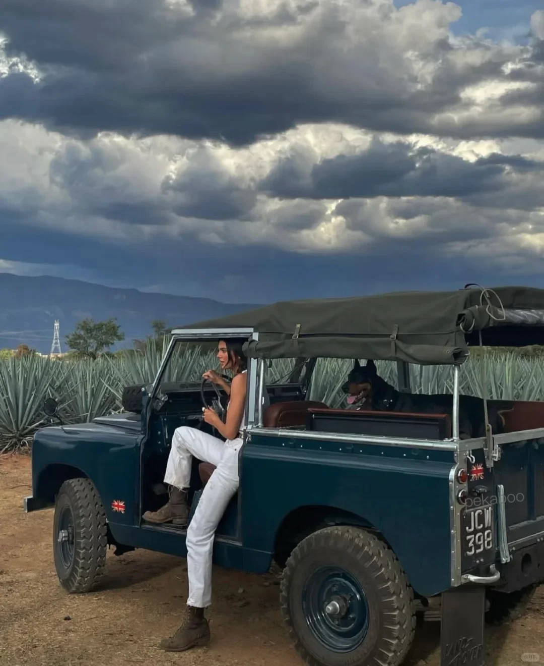 肯豆啊，漂亮有钱的小姨，自由，美好，热烈