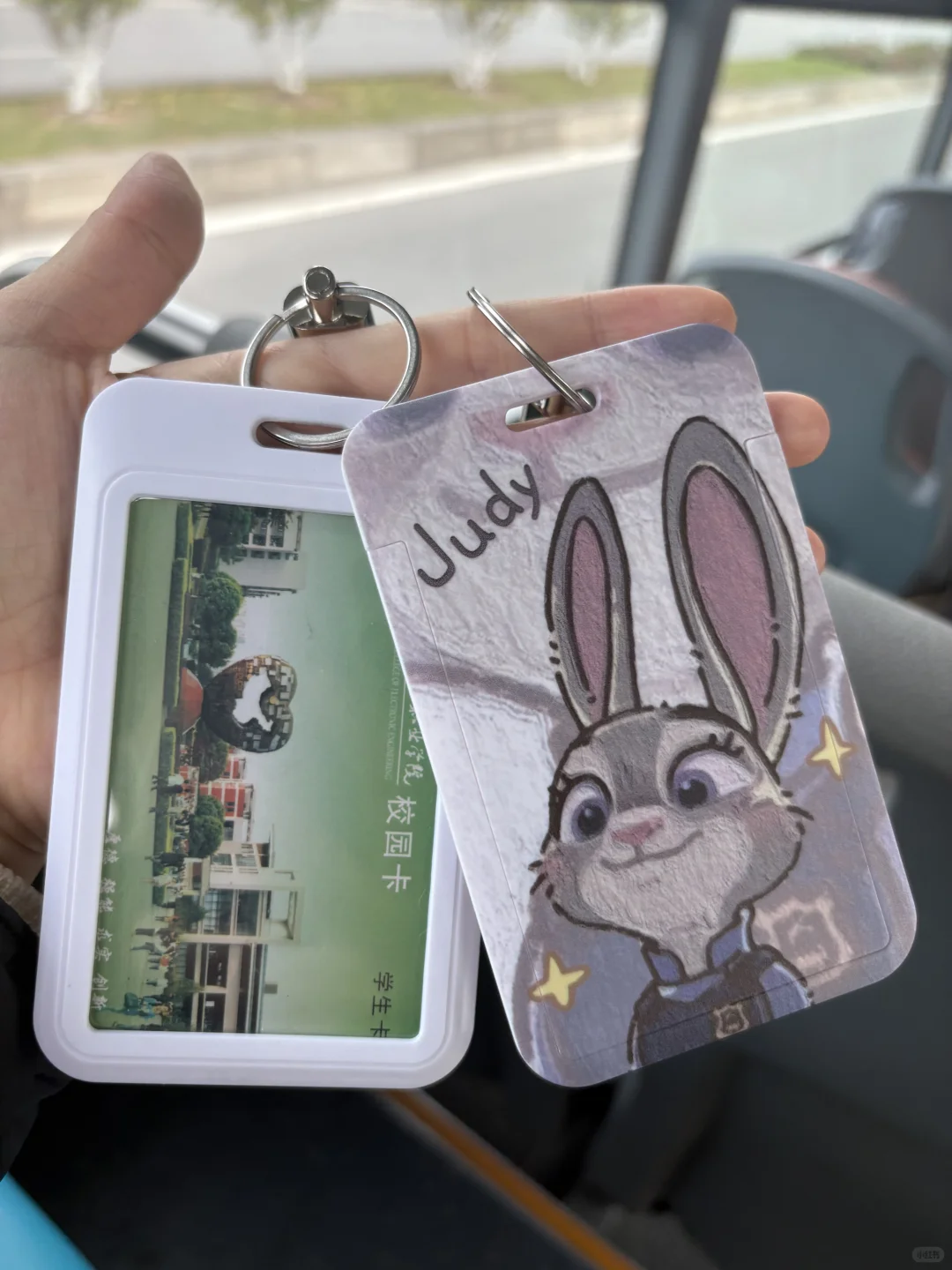 疯狂动物城铁粉报道‼️