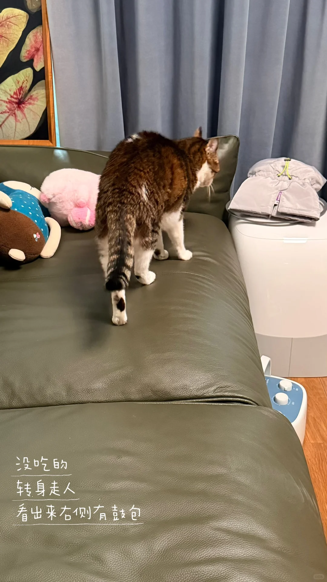 2025.12.21 皮下补液第十次