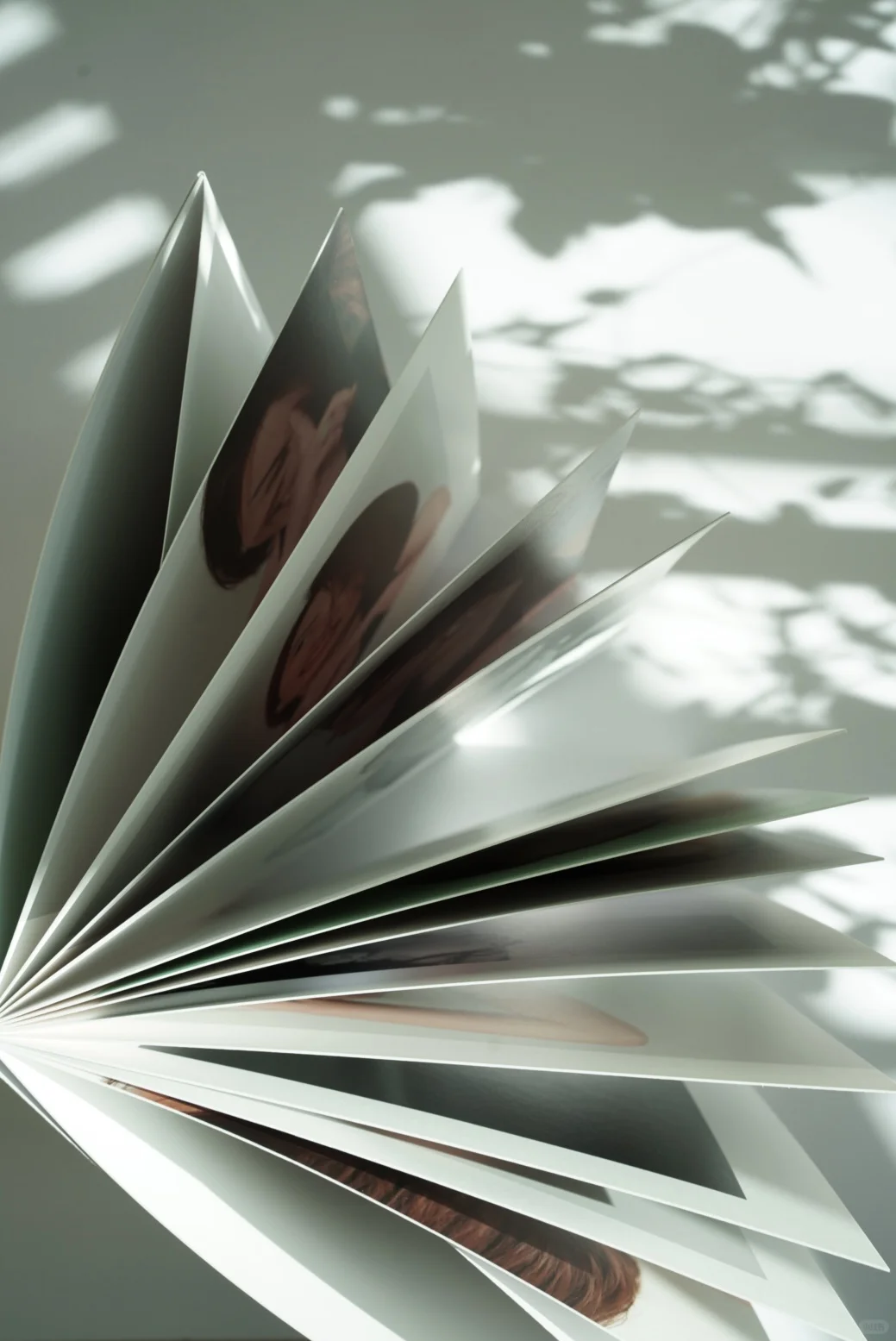 我的第13本照片书