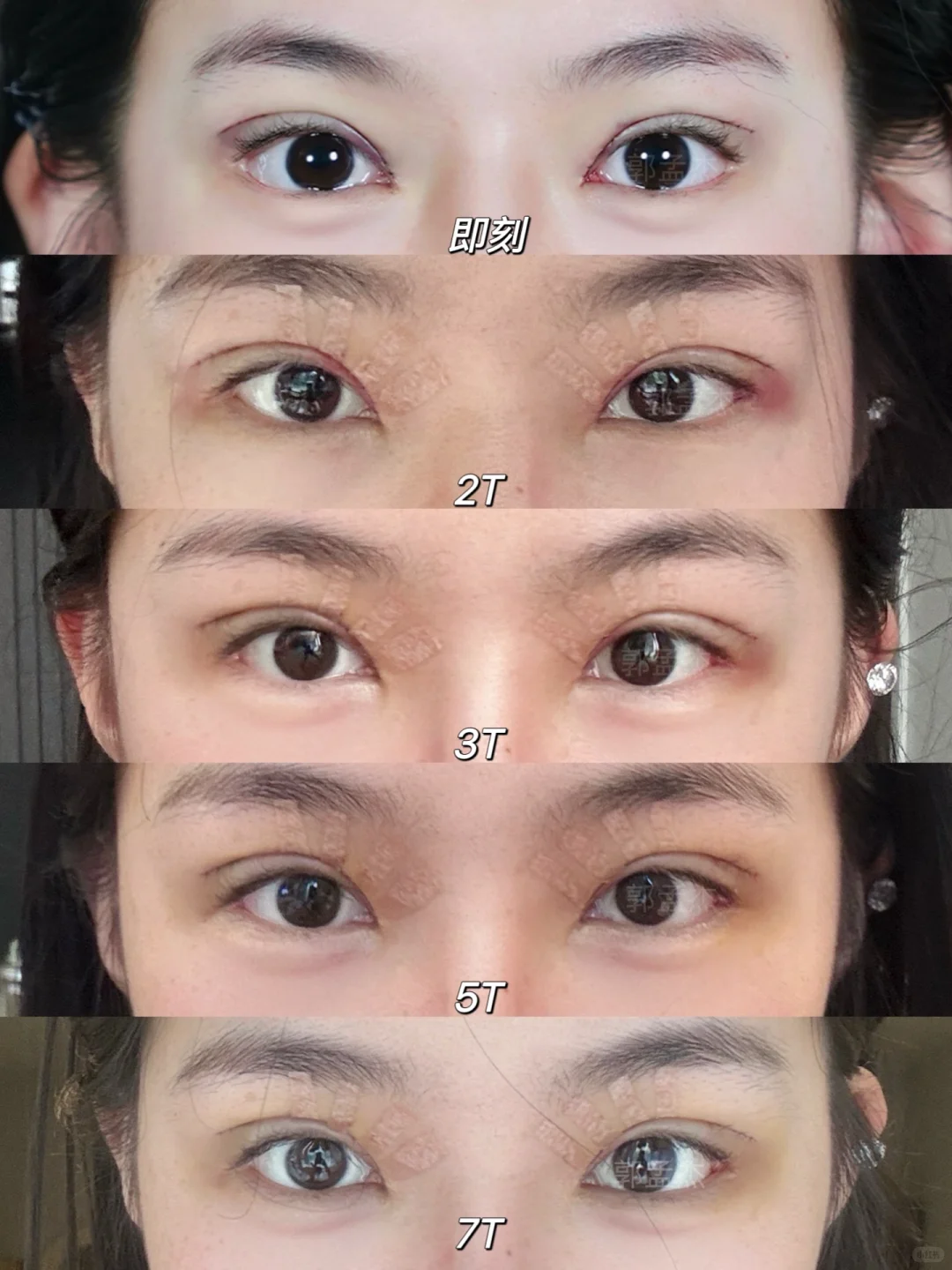 狐系开扇➕幼态眼尾上扬真的绝了！