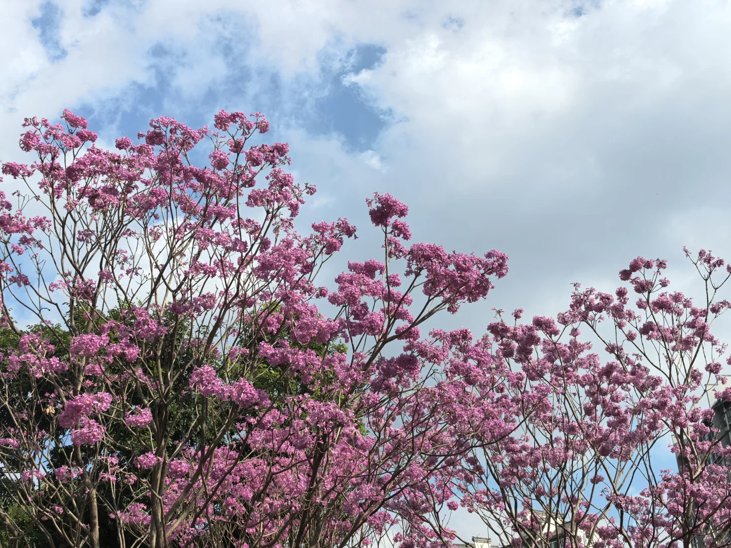 周末愉快，冬至安康