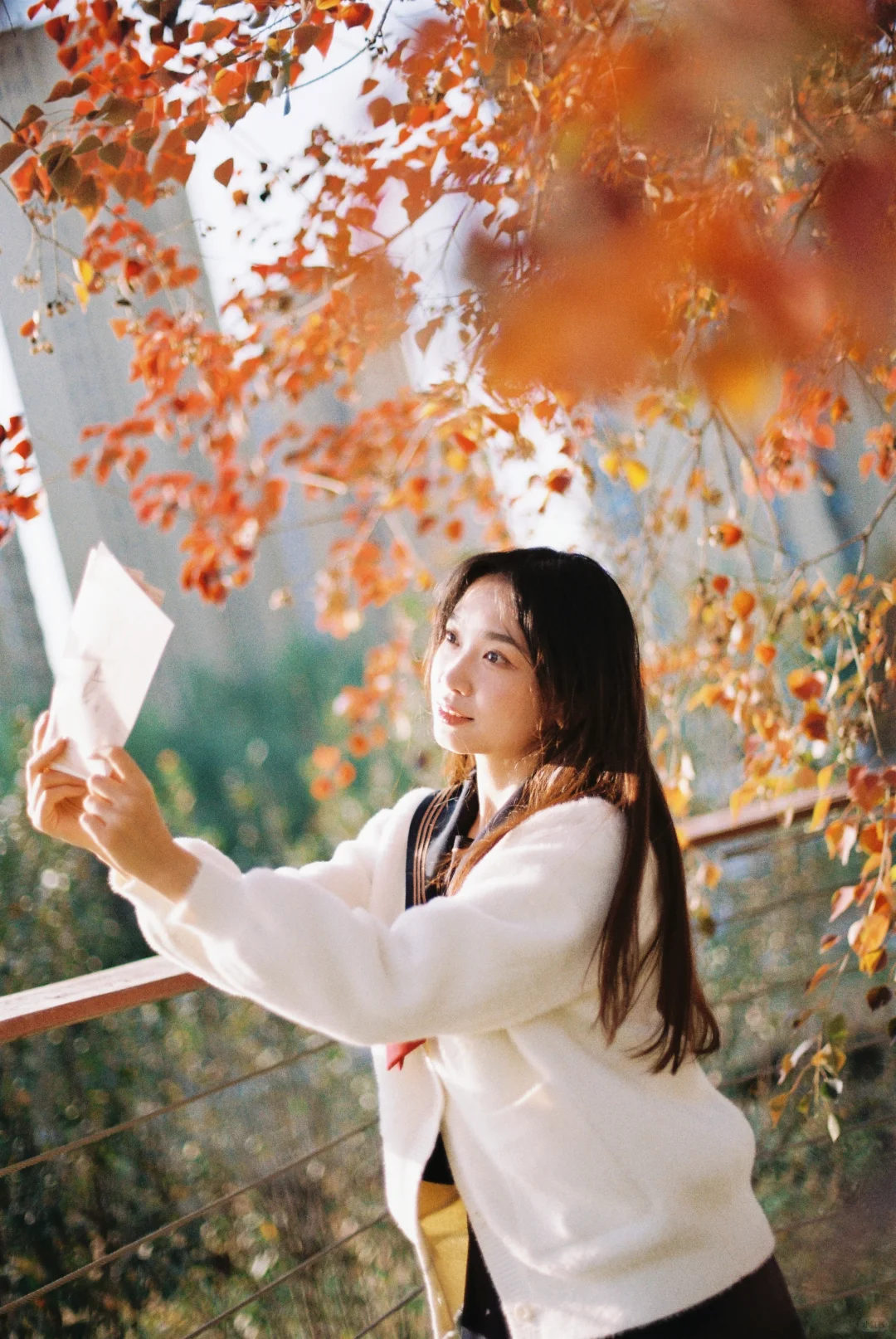 胶片合集｜是哪本写真集的扉页