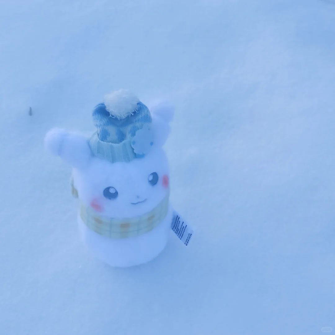 雪人皮·写真集