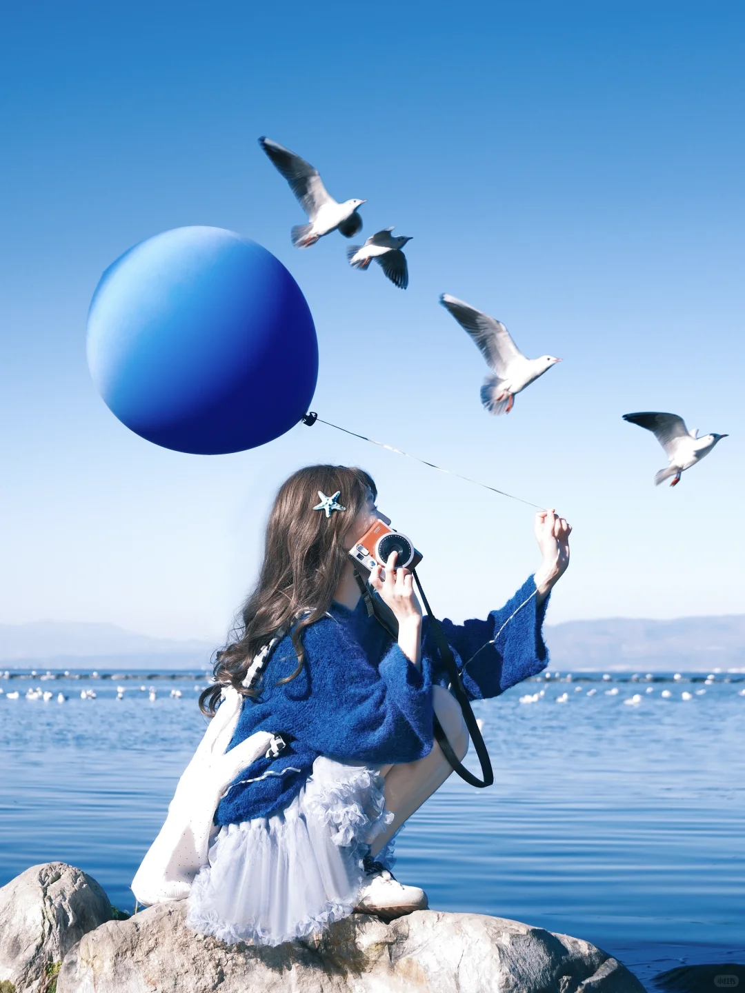 冬日蓝调时刻胶片🎞️海边海鸥氛围感随拍