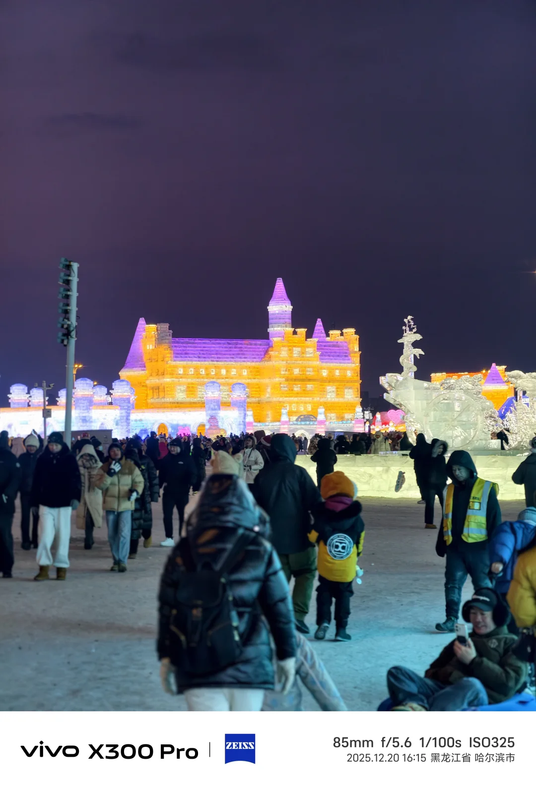 时隔八年终于又来看冰雪节了