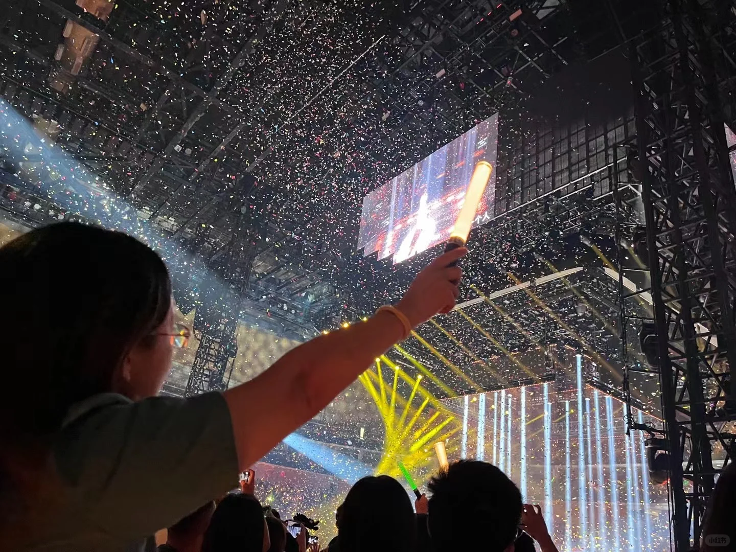 🐟姐2025演唱会