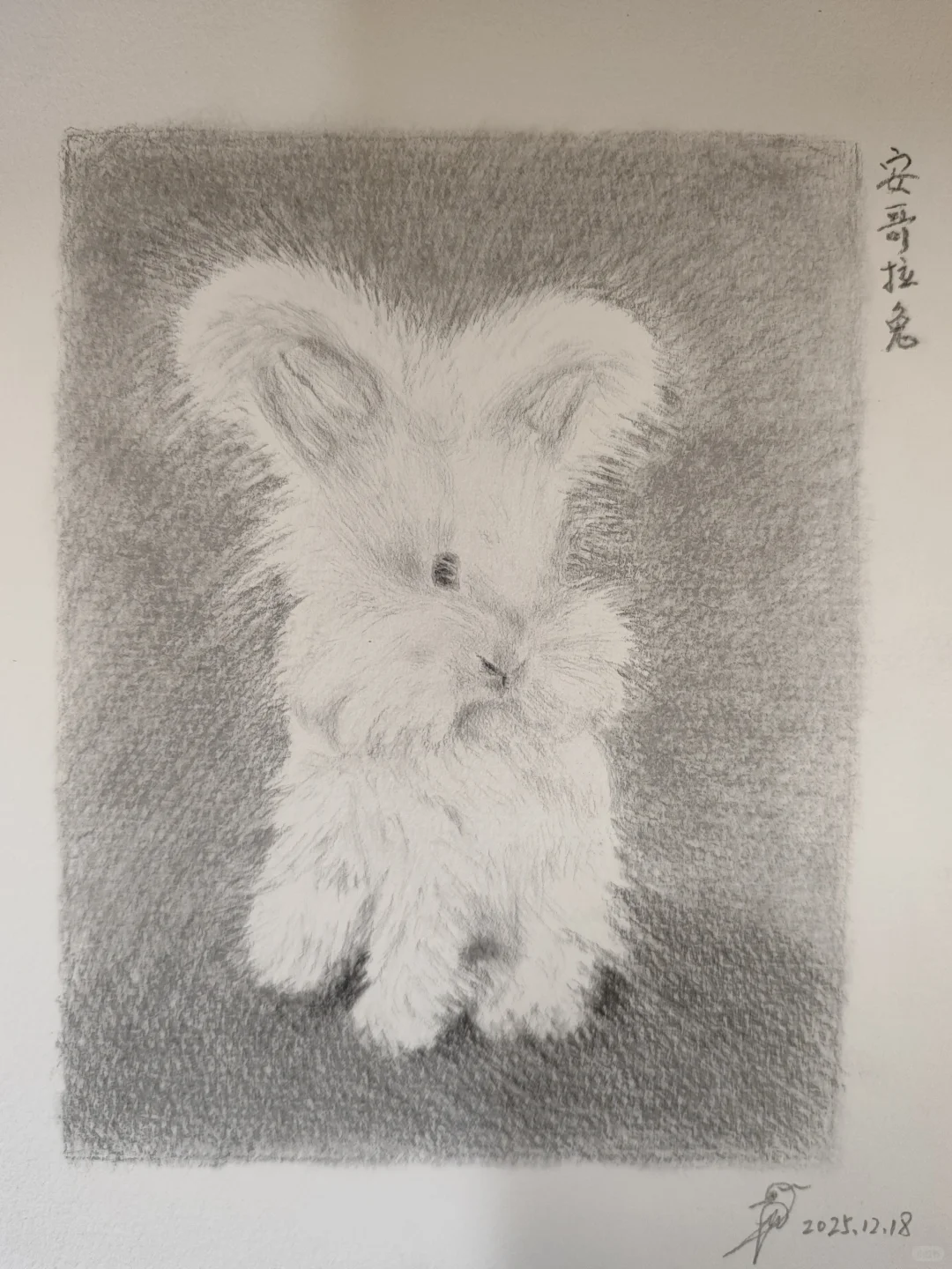 主人，带我回家咯~～