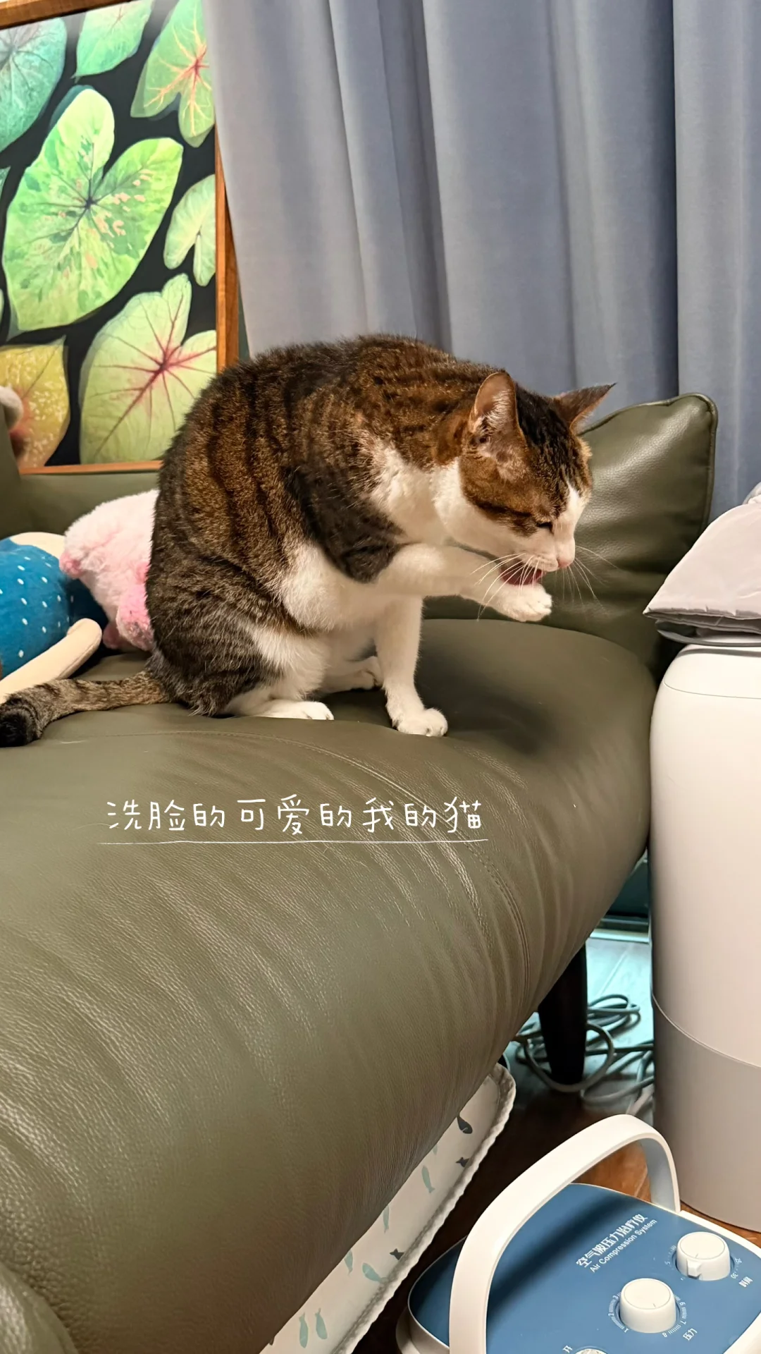 2025.12.21 皮下补液第十次