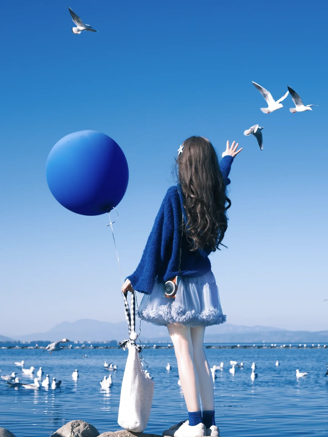 冬日蓝调时刻胶片🎞️海边海鸥氛围感随拍