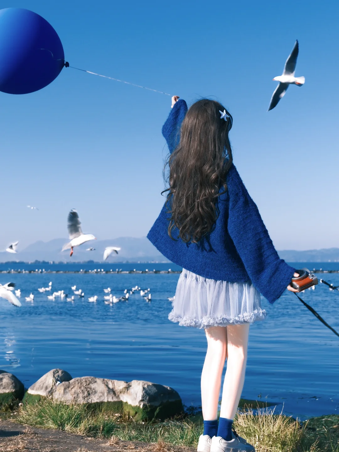 冬日蓝调时刻胶片🎞️海边海鸥氛围感随拍