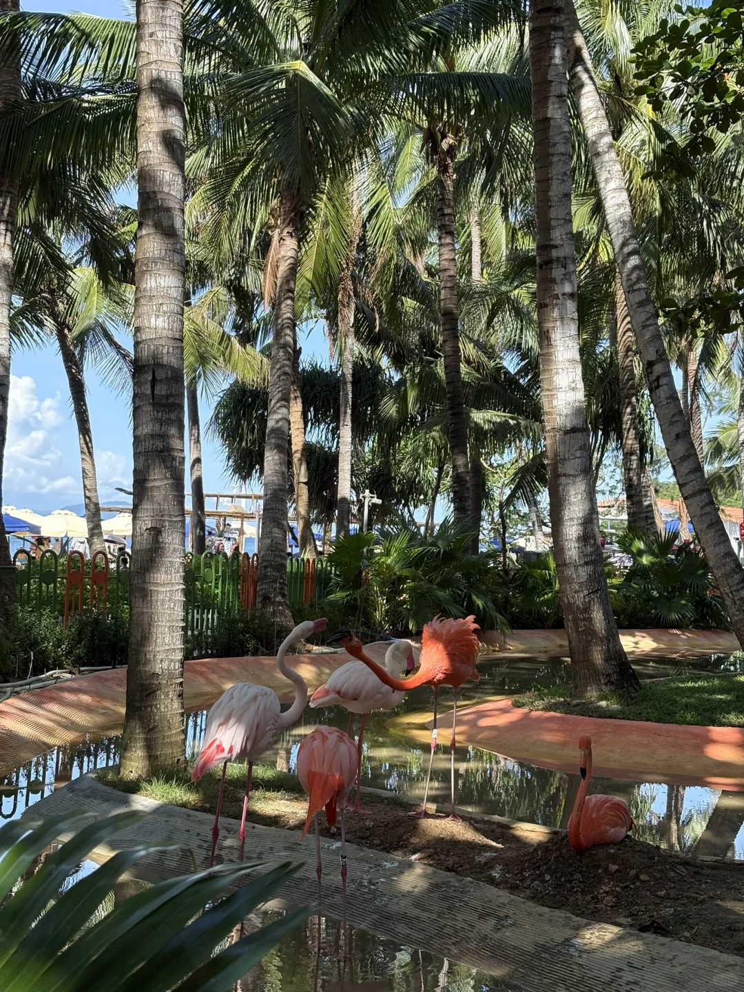 三亚蜈支洲岛天气好怎么拍都好看