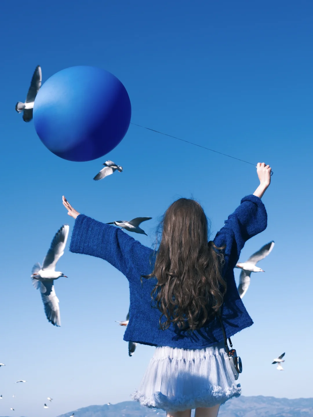 冬日蓝调时刻胶片🎞️海边海鸥氛围感随拍