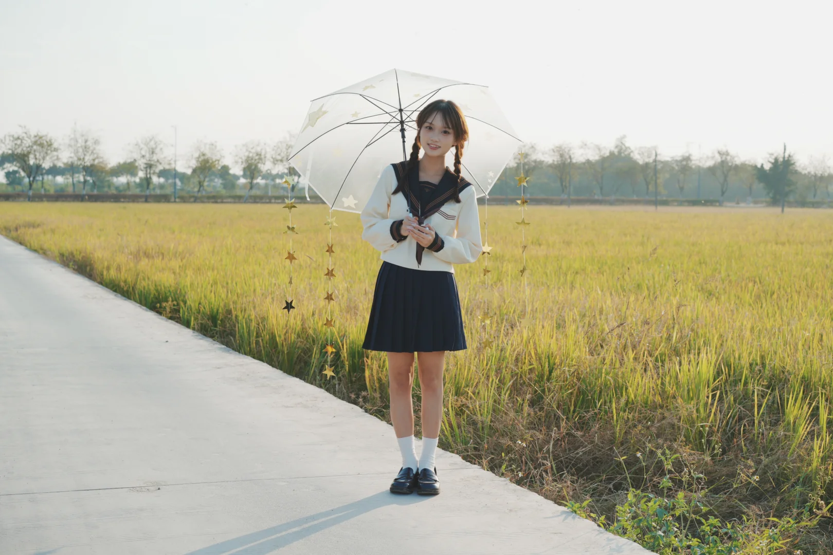 冬天的广东仍风吹稻穗🌾