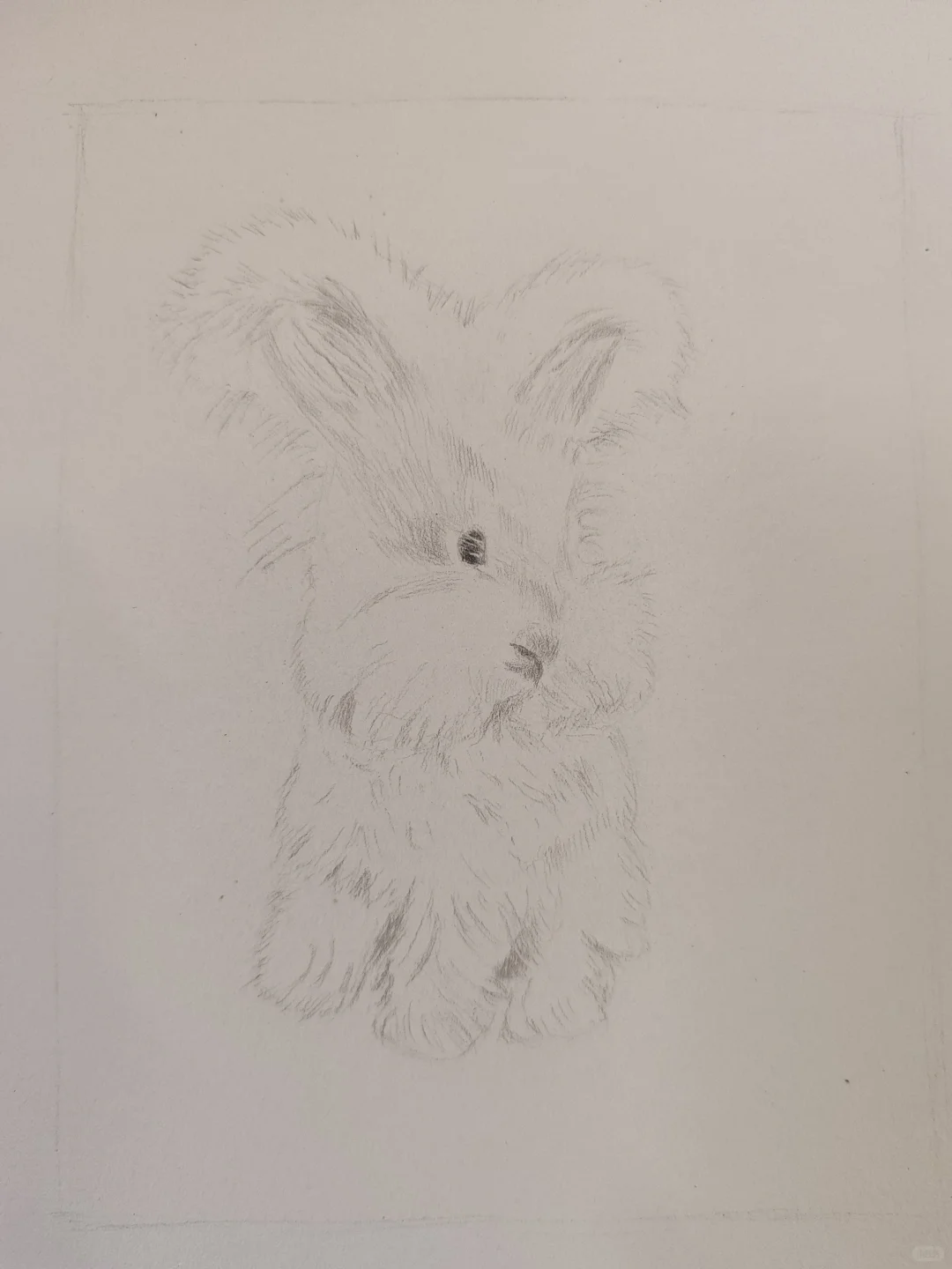 主人，带我回家咯~～