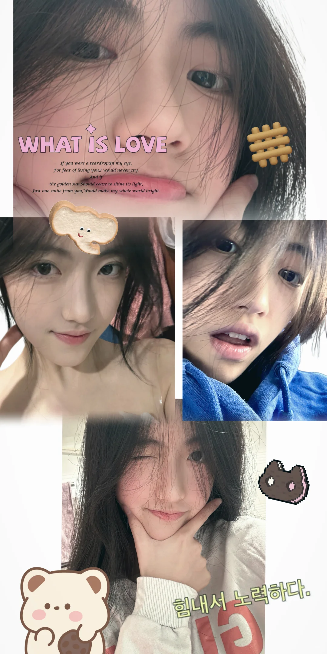 当我把自己的照片做成壁纸