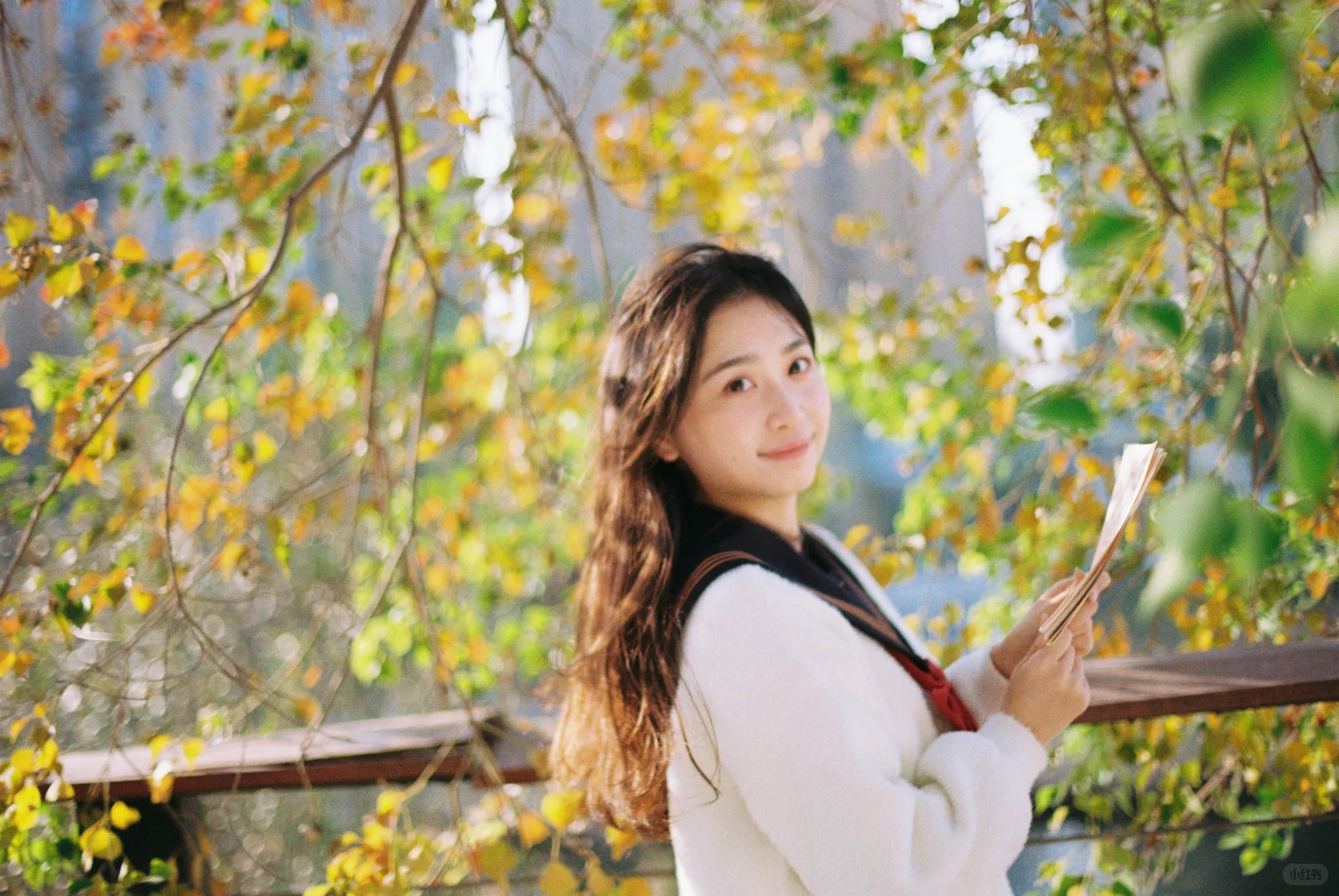 胶片合集｜是哪本写真集的扉页