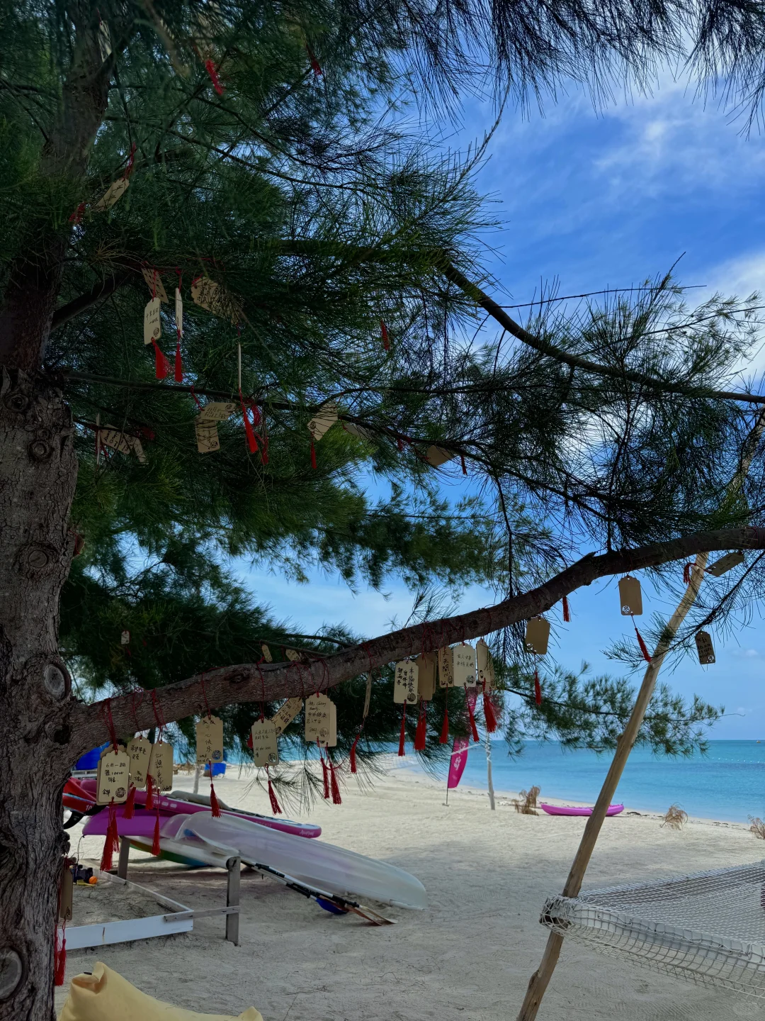 一些假期碎片🧩✨📸