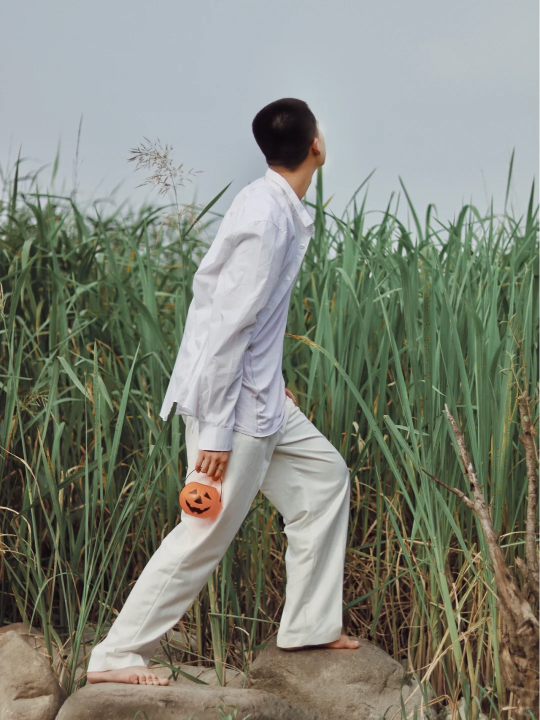 夏至·芦苇🌾｜上海约拍