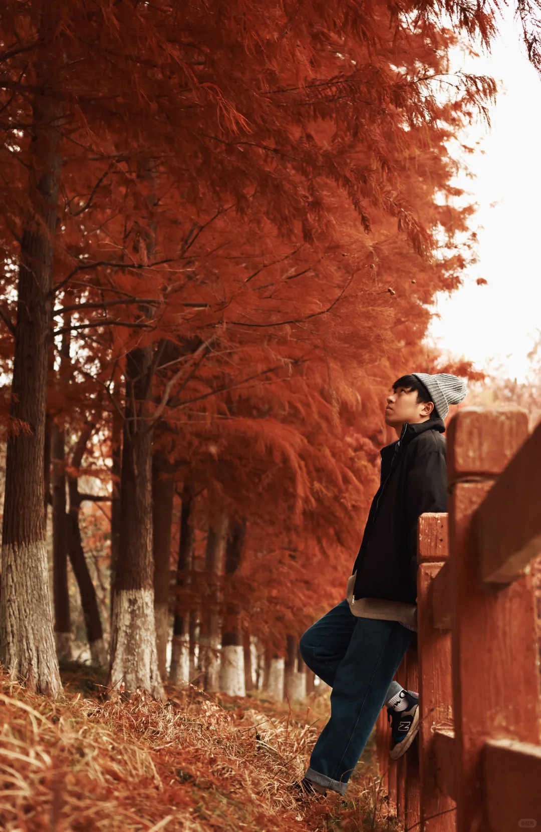 家人们，这里绝对是出红杉写真集的好去处