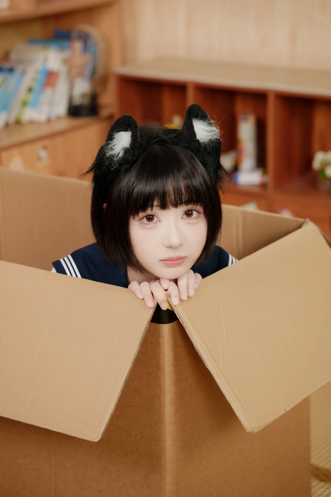 🐾被封印在纸箱的喵喵JK✨