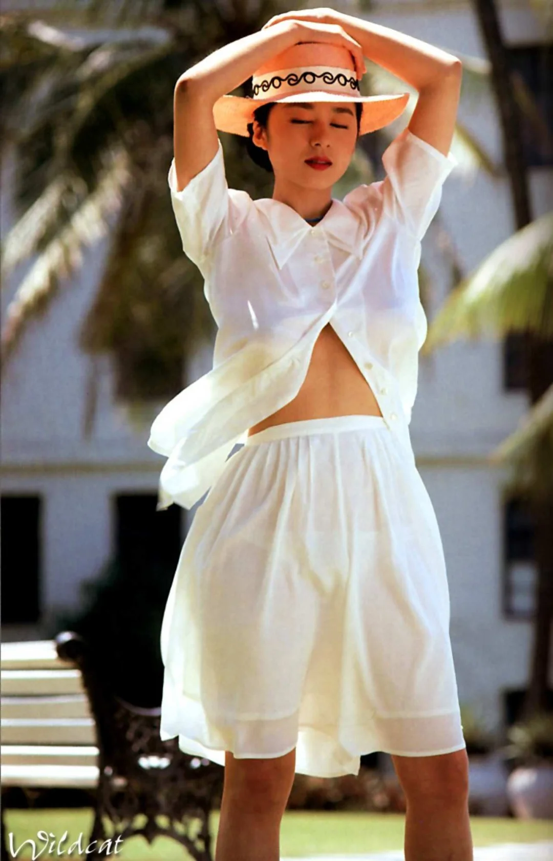 青山知可子★亚热带&热带性气候★