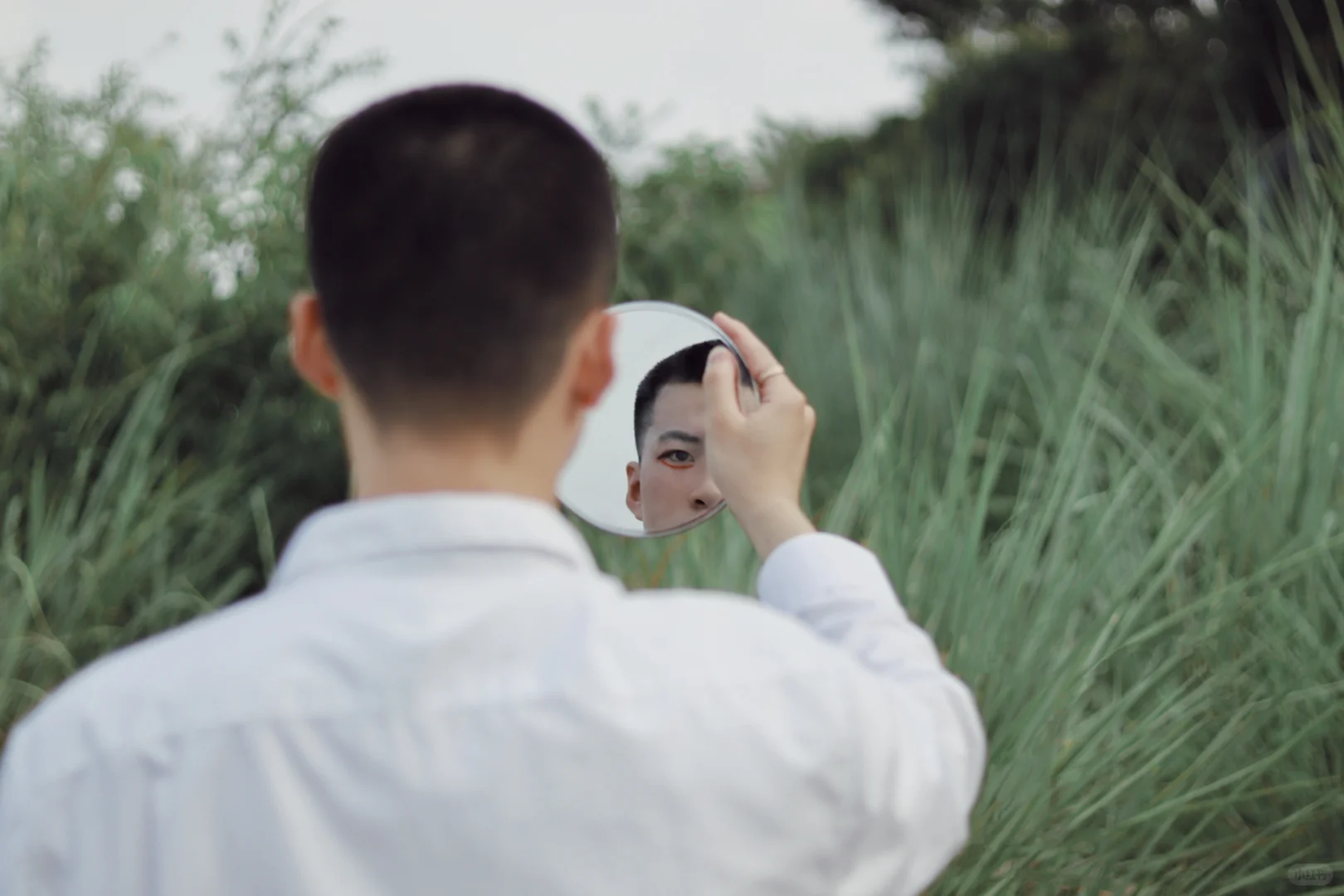 夏至·芦苇🌾｜上海约拍