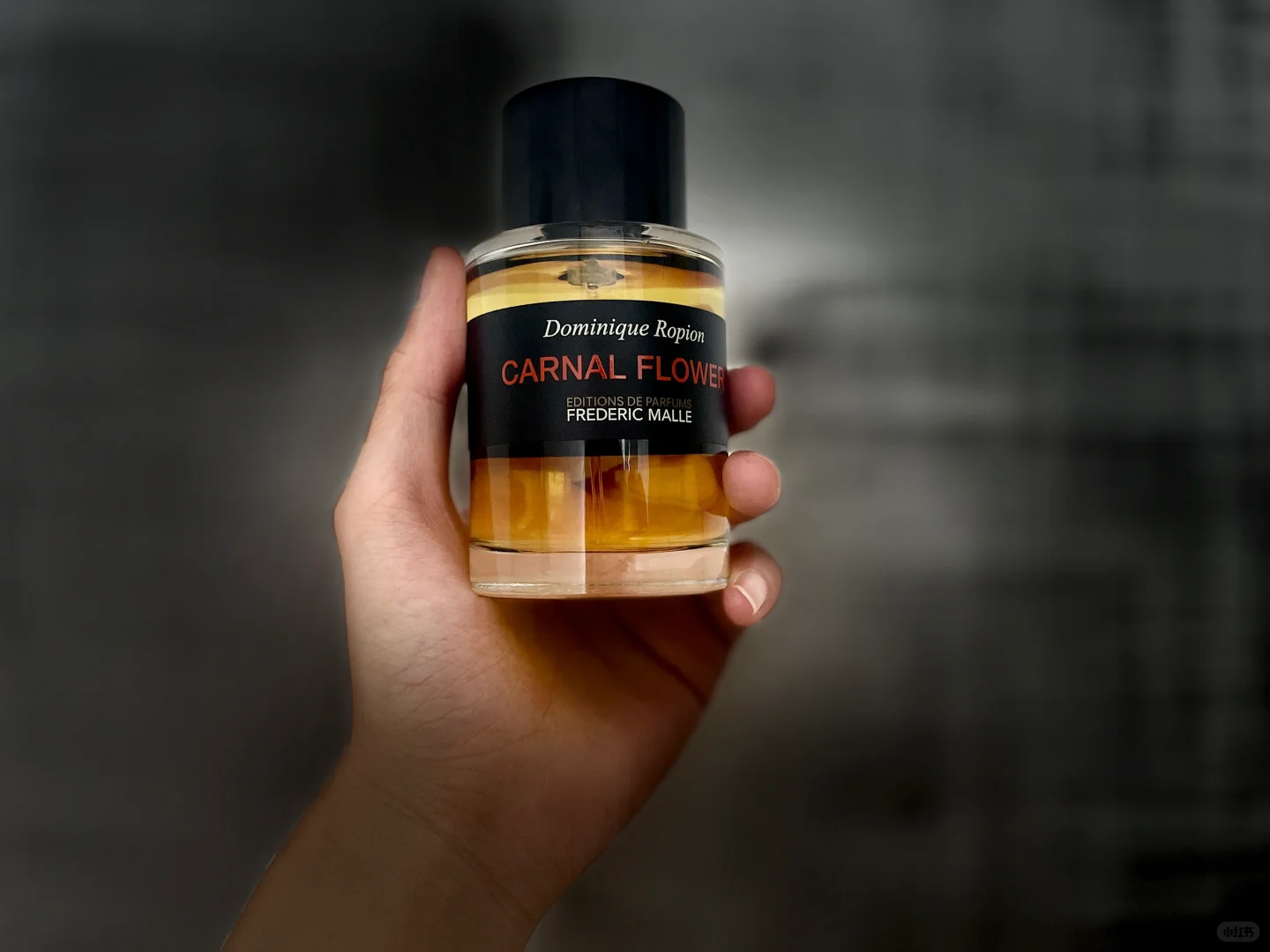 它的名字叫性欲之花😈😈😈